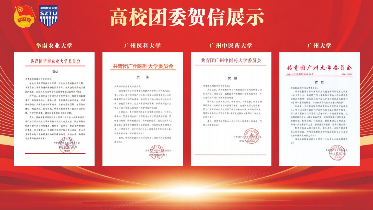 共青团深圳市委员会学少部部长林芳
