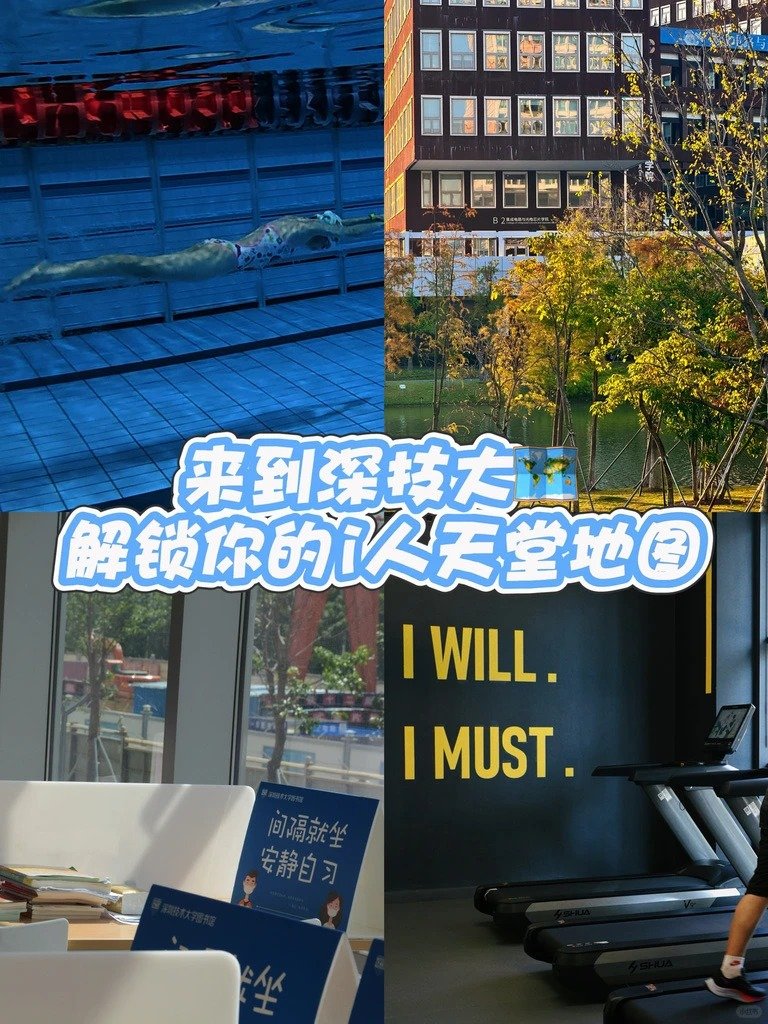 预决算公开 基本信息 星空网页版官网