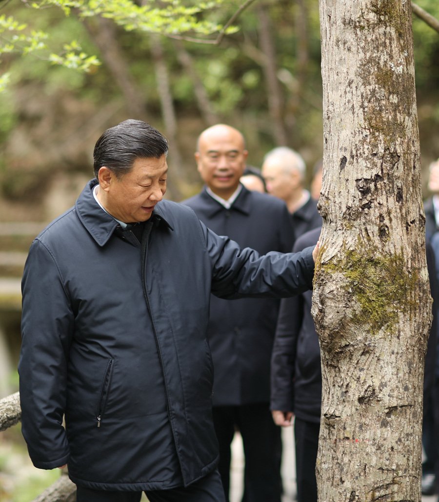 在全党开展树立和践行正确政绩观星空网