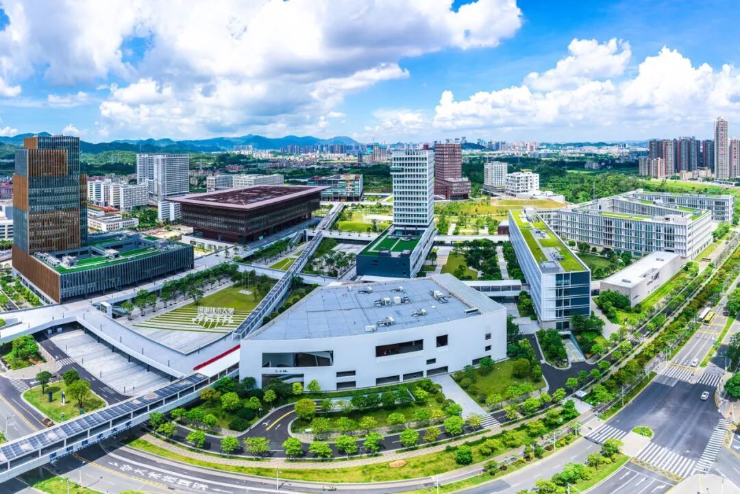 老师们认真倾听