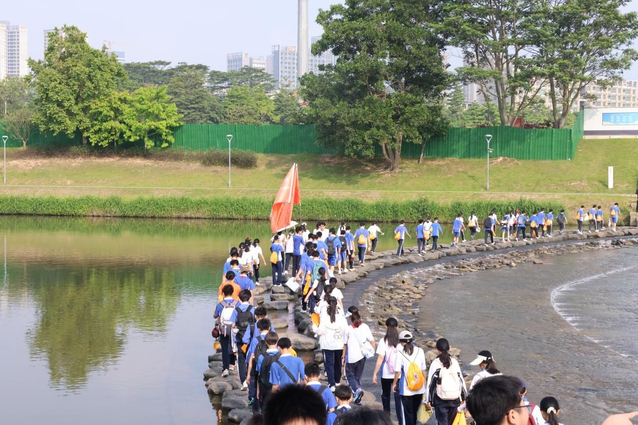 城市交通与物流星空网页版官网安全访问